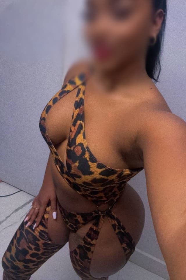 Escort Shy - 888 Companions